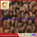 Roasted Cashew Nuts Ww320 with Best Taste